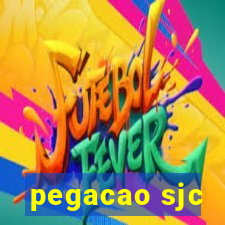 pegacao sjc